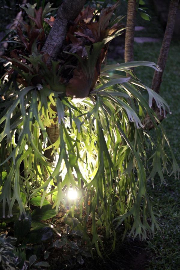 Accommodatie bij particulieren Sari House - Balinese Style